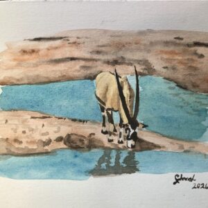 Tranquil Gemsbok